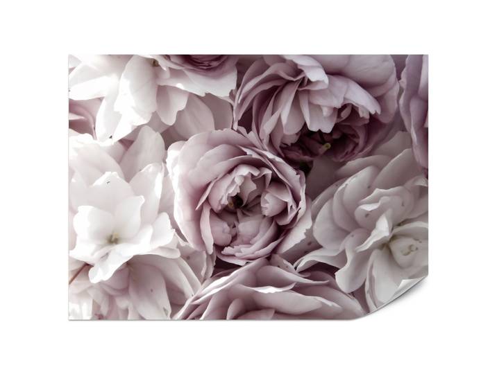 FOTOTAPETE für Badezimmer Pastell Pfingstrosen Blumen 200x140