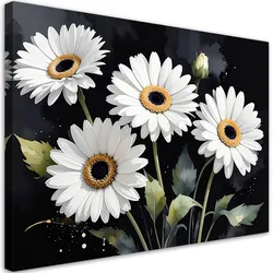 LEINWANDBILD, Weiße Gänseblümchen Blumen auf schwarzem Hintergrund