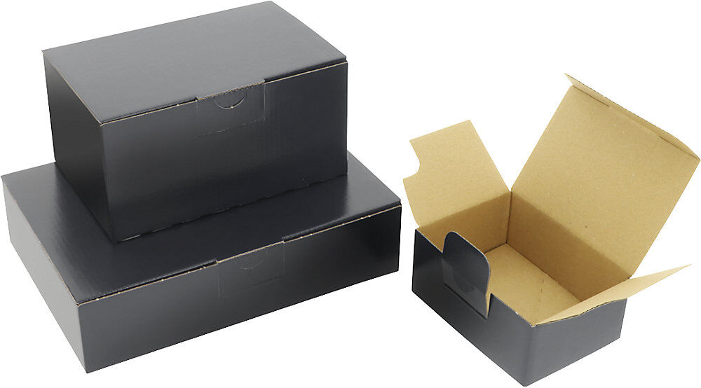 Blitzbox Color, schwarz, VE 20 Stk, Innenmaße 220 x 155 x 50 mm, ab 10 VE ratioform