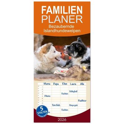 Familienplaner 2026 - Bezaubernde Islandhundewelpen mit 5 Spalten (Wandkalender, 21 x 45 cm) CALVENDO