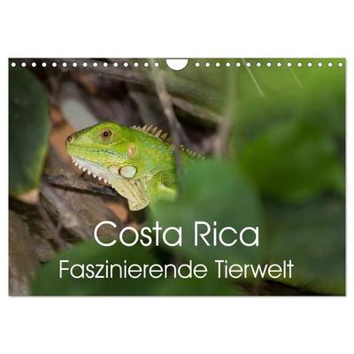Costa Rica. Faszinierende Tierwelt (Wandkalender 2027 DIN A4 quer), CALVENDO Monatskalender