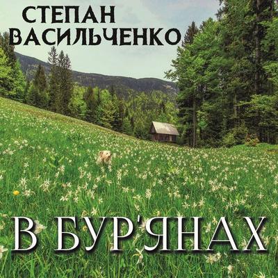 V bur'yanah - Stepan Vasylchenko, Audio, 4099995432503