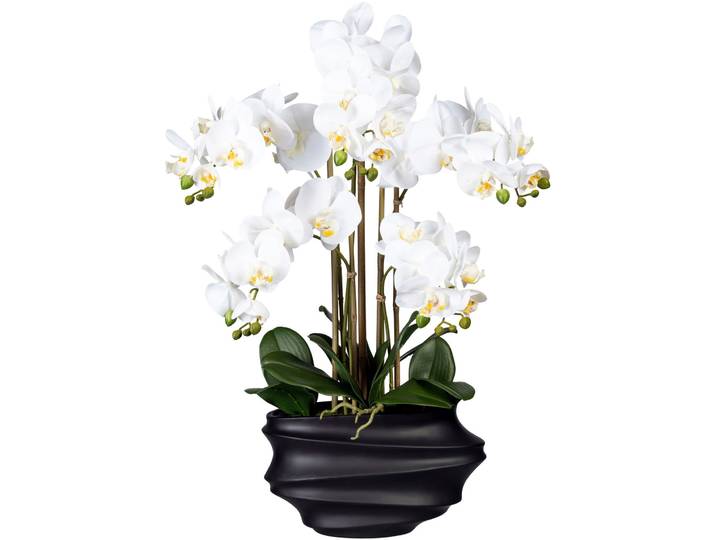 Kunstorchidee CREATIV GREEN Phalaenopsis , weiß, H:75cm, Kunststoff, Kunstpflanzen, Kunstorchidee, in Design-Kunststoffvase