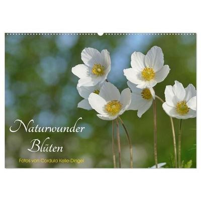 Naturwunder Blüten (Wandkalender 2027 DIN A2 quer), CALVENDO Monatskalender
