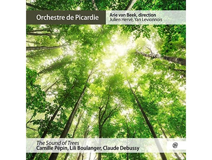 The Sound Of Trees