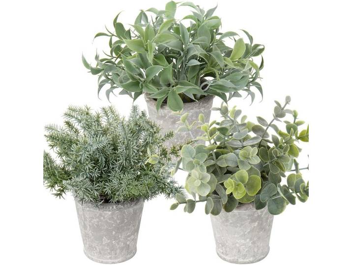Kunstpflanzen 3er Set Zementtopf Grau, Mehrfarbig, Kunststoff, 21.5 cm, Dekoration, Blumen & Blumentöpfe, Kunstpflanzen