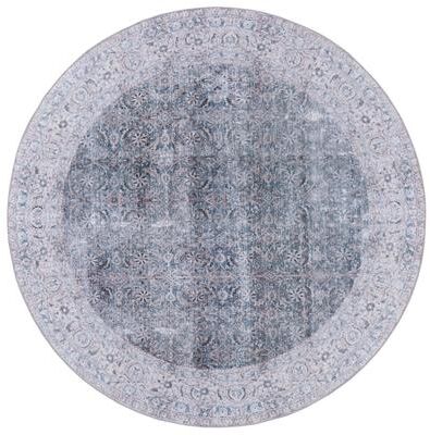 SAFAVIEH Tucson Machine Washable Slip Resistant Alis Traditional Rug