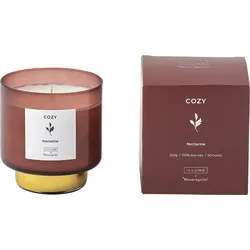 Illume Cozy Nectarine Duftkerze 9 cm