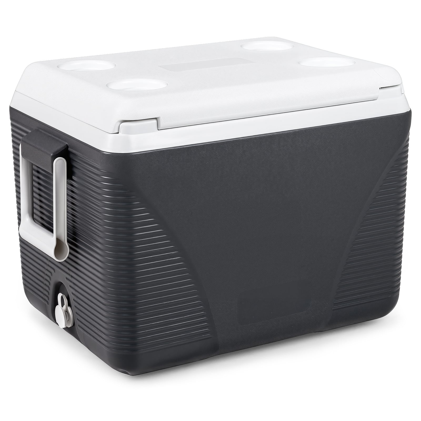 Costway Koelbox Thermobox Zwart, 41 L