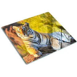 GLASPLATTE 60x52 cm Porträt des Tigers