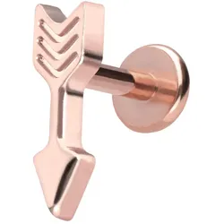 Titan Labret mit Push Fit PFEIL