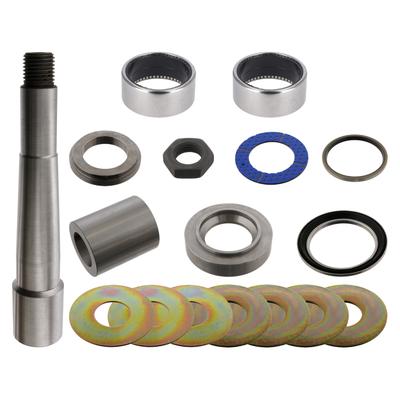 FEBI BILSTEIN Reparatursatz, Achsschenkelbolzen febi Plus 39110 für DAF