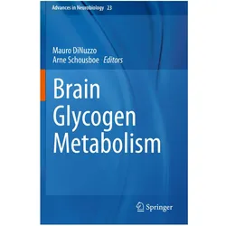 Brain Glycogen Metabolism, Fachbücher von Arne Schousboe, Mauro DiNuzzo