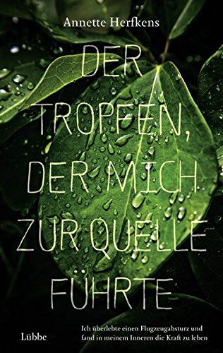 Annette Herfkens - Der Tropfen, der mich zur Quelle führte: Ich überlebte einen Flugzeugabsturz und fand in meinem Inneren die Kraft zu leben (Erfahrungen) - Preis vom 10.10.2026 11:48:34 h
