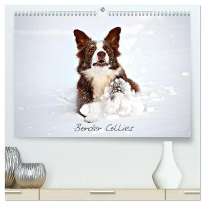 Border Collies (hochwertiger Premium Wandkalender 2027 DIN A2 quer), Kunstdruck in Hochglanz