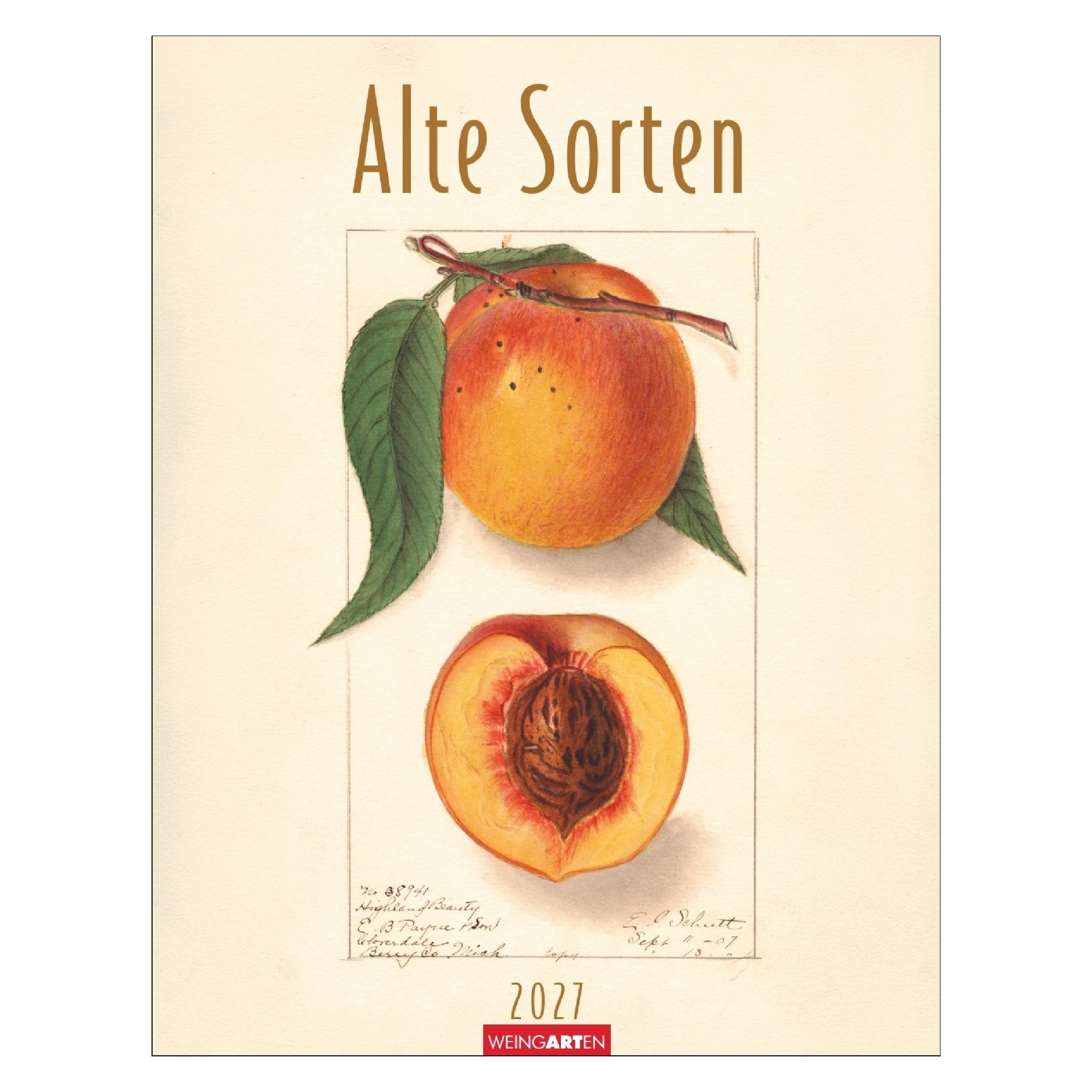 Weingarten Alte Sorten Kalender 2027 (66783921)
