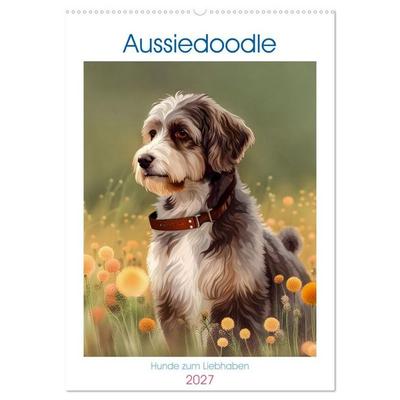 Aussiedoodle - Hunde zum Liebhaben (Wandkalender 2027 DIN A2 hoch), CALVENDO Monatskalender