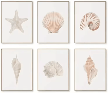 Inspire Curations Watercolor Seashell & Starfish Canvas Wall Art Set Coastal Ocean Home Decor 7 6pcs 40x50cm No Frame