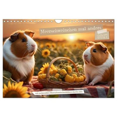Meerschweinchen mal anders! (Wandkalender 2027 DIN A4 quer), CALVENDO Monatskalender