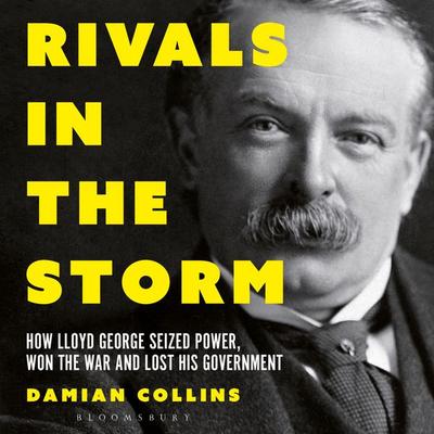 Rivals in the Storm - Damian Collins, Audio, 9781399407144