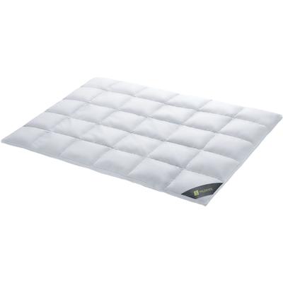 Daunenbettdecke SPESSARTTRAUM "Wildente Bettdecken 135x200cm & weitere Größen", silber (silberfarben), B:135cm L:200cm, Bezug: 100% Baumwolle. Füllung: 100% Daunen, Bettdecken, Bettdecken Ganzjahresbettdecke, Winter, Sommer