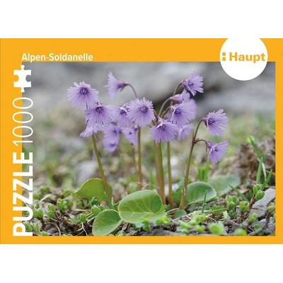 Alpen-Soldanelle – Puzzle