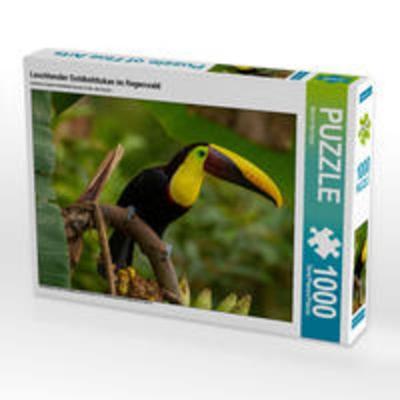CALVENDO Puzzle Leuchtender Goldkehltukan im Regenwald | 1000 Teile Lege-Größe 64x48cm Foto-Puzzle für glückliche Stunden