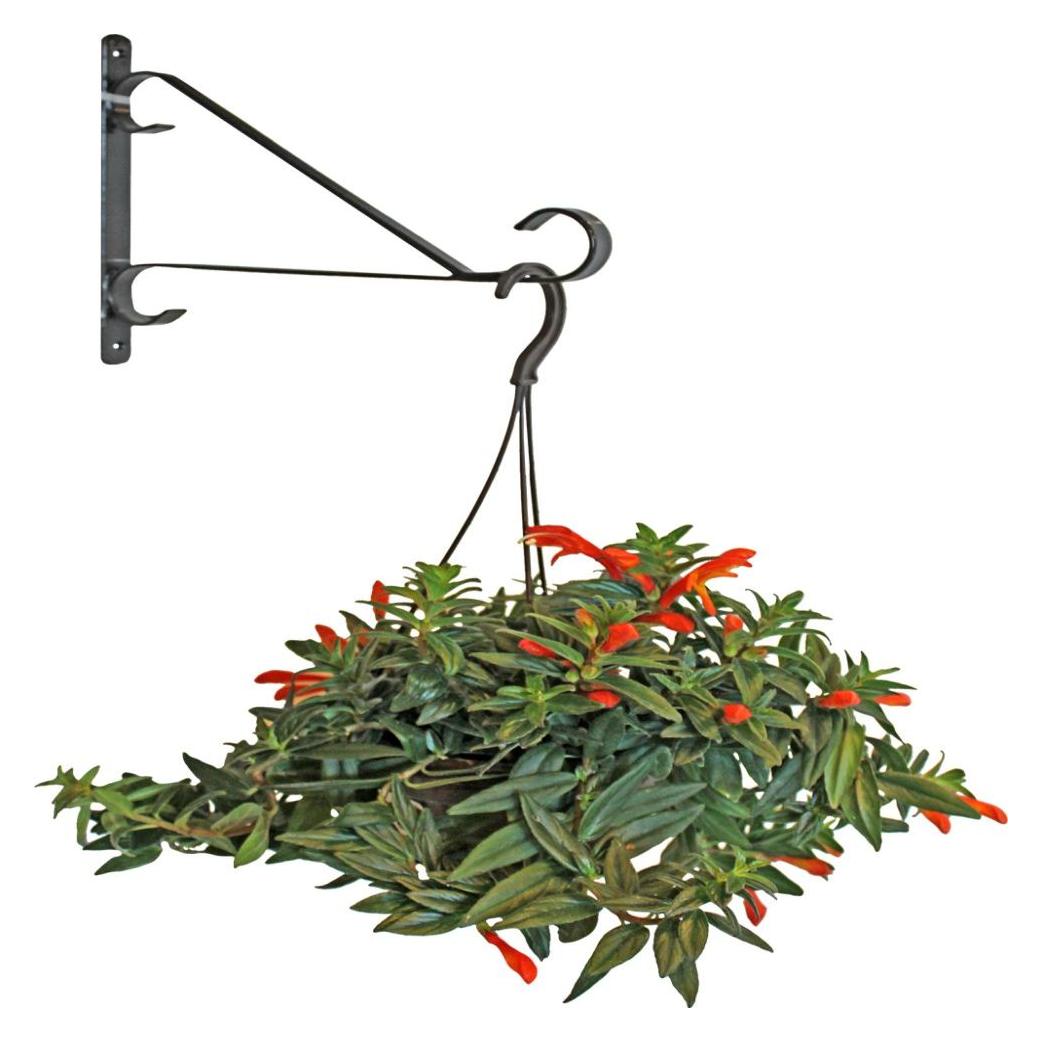 Besk Puku poda turetajs sienas metala 30.5cm (4750959039397)