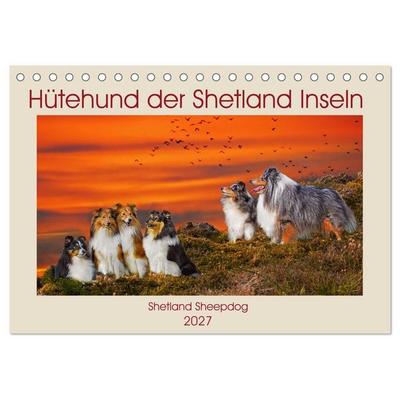 Hütehund der Shetland Inseln - Shetland Sheepdog (Tischkalender 2027 DIN A5 quer), CALVENDO Monatskalender