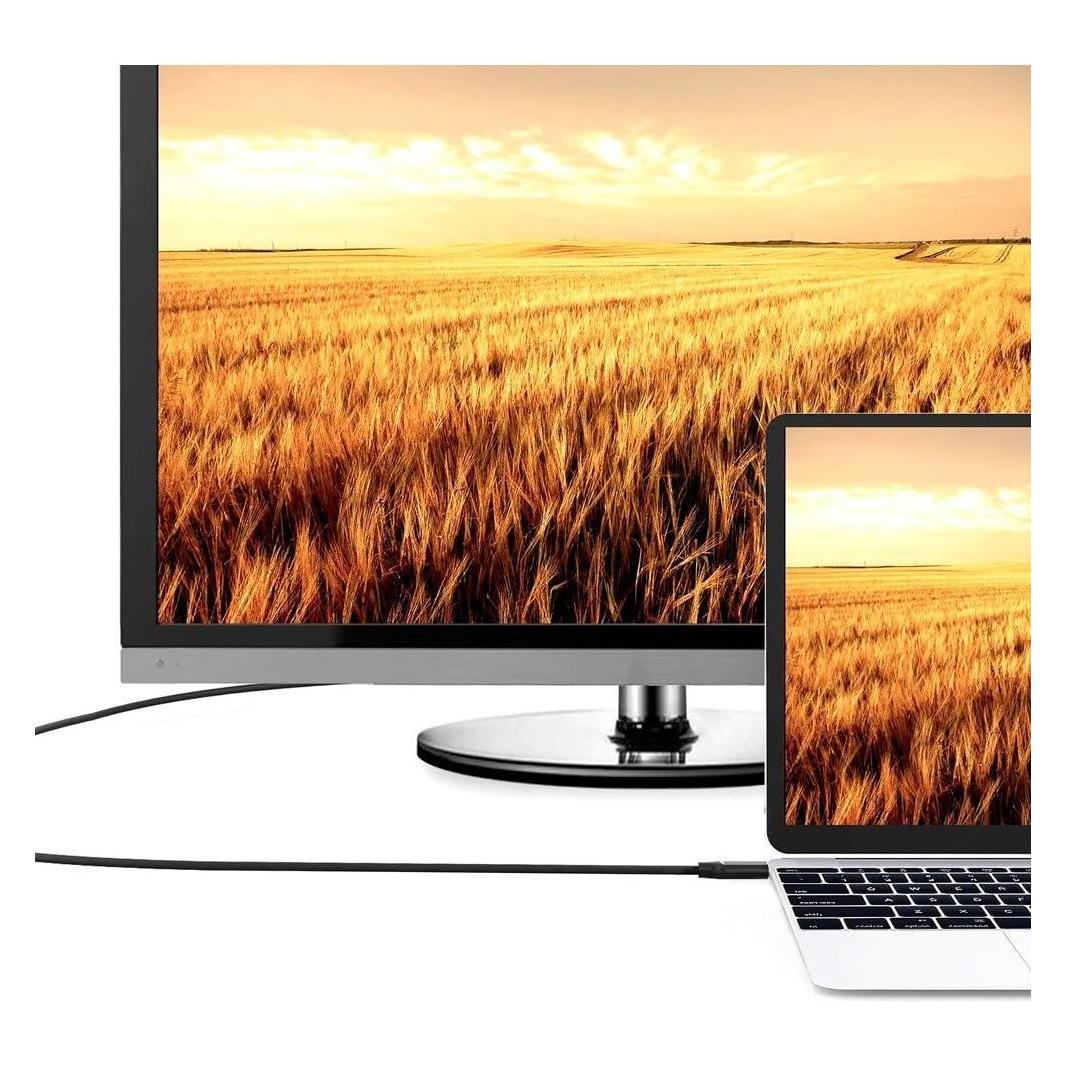 EFB Elektronik HDMI (Typ A) - HDMI (Typ A) (1 m) (ICOC-HDMI-4-010NE)