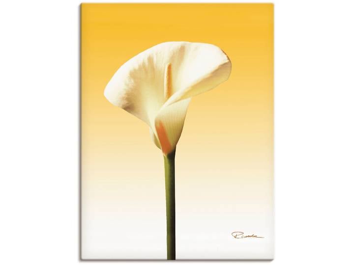 Leinwandbild ARTLAND Sonnenschein Calla II , gelb (farbe bild(er): gelb), B:60cm H:80cm, Bilder, Leinwandbild, auf Holzrahmen gespannt