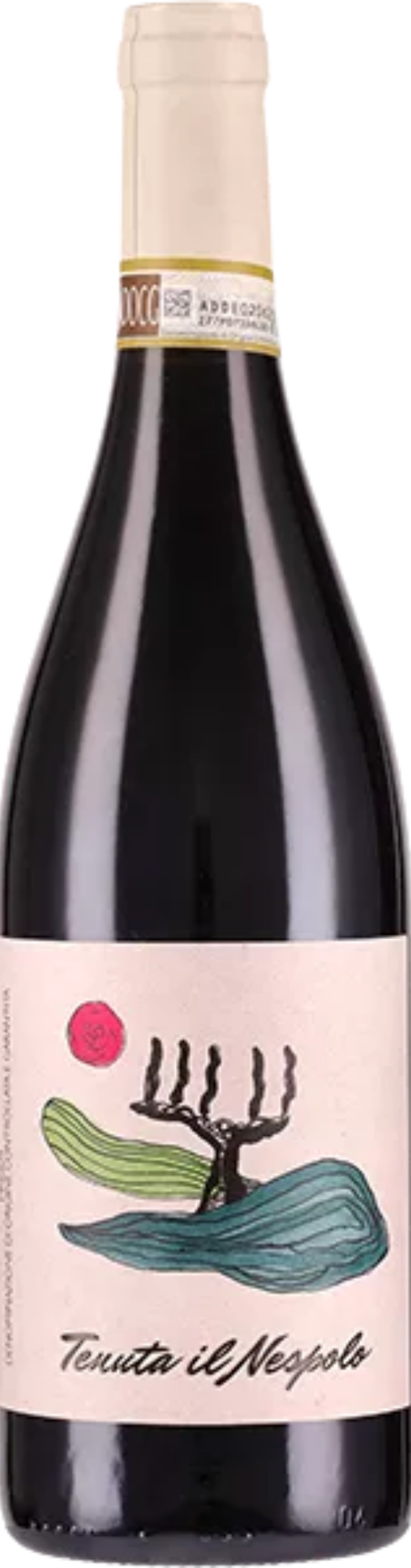 Nizza Tenuta Il Nespolo 2021