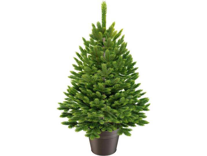 Weihnachtsbaum, Metall, 60 cm, Dekoration, Weihnachtsdekoration, Christbaum & Zubehör