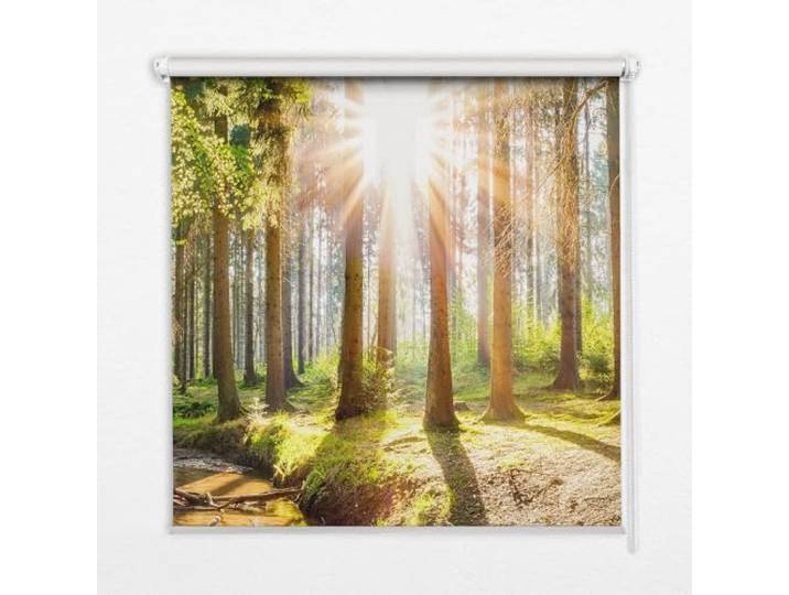 Tulup Durchlässig Für Fenster Rollos - Die Sonne bricht durch die Bäume