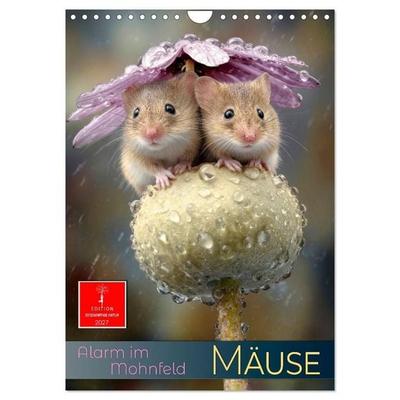 Mäuse - Alarm im Mohnfeld (Wandkalender 2027 DIN A4 hoch), CALVENDO Monatskalender