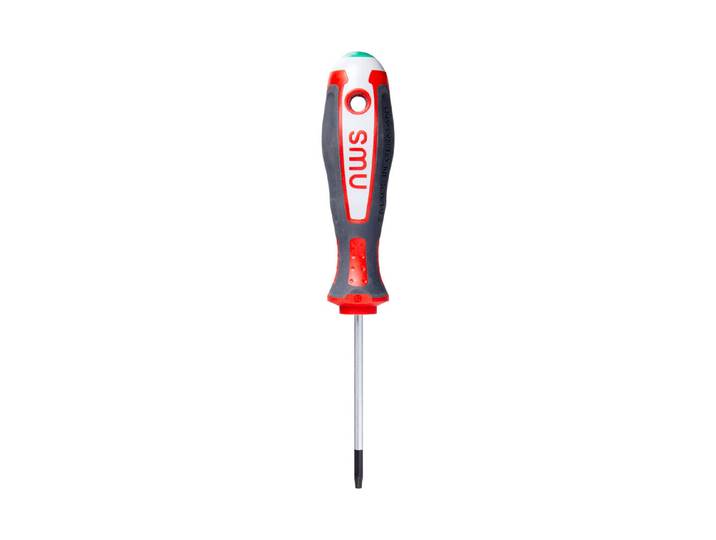NWS Torx-Schraubendreher mit Bitantrieb