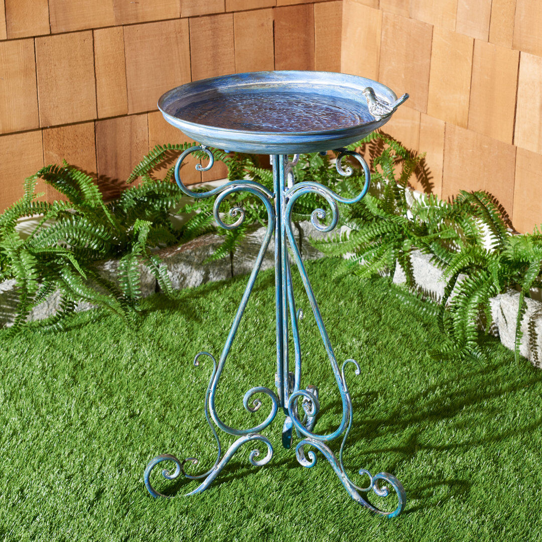 Astoria Grand Ashlan Bird Bath Mossy Blue 27cm H X 7cm W X 17cm D