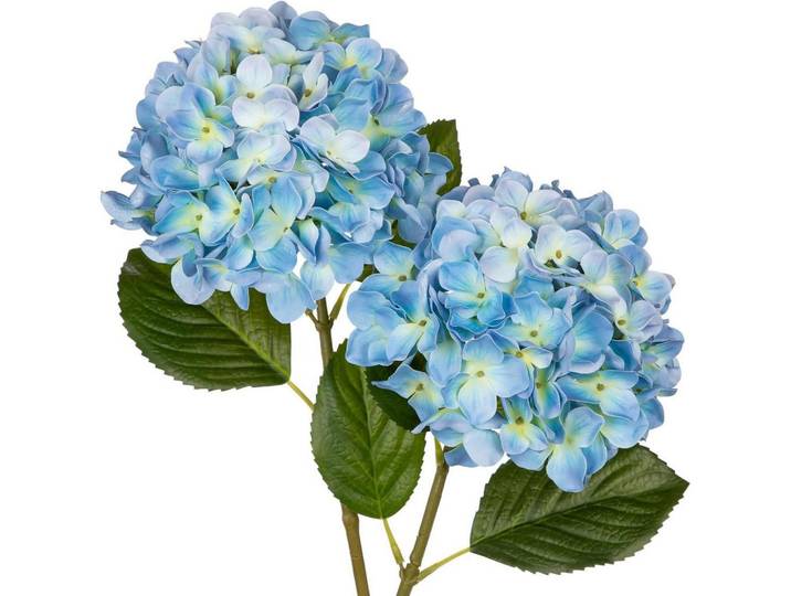Kunstblumen Hortensie 2 Stück Blau 63 cm, Kunststoff, 63 cm, Dekoration, Blumen & Blumentöpfe, Kunstblumen