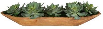 "Uttermost Yuma Succulent Centerpiece - 27""W x 8""H x 11""D"