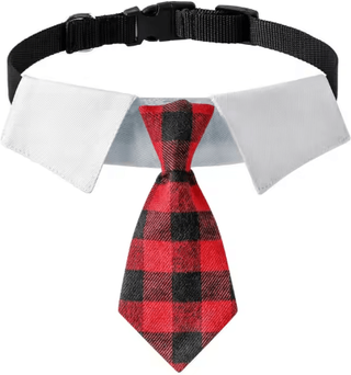 Inspire Picks Sucado Elegant Dog Wedding Suit With Formal Necktie Collar sd140g l