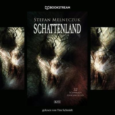 Schattenland - Stefan Melneczuk, Audio, 9783991092247