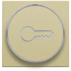 Niko Züblin 221-64009 Abdeckung mit transparentem Ring mit Schlüsselsymbol für 6 A Taster mi 22164009