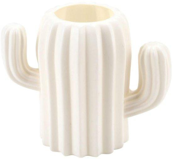 Scandinavisch stijl cactus woonaccessoire met matte beige afwerking