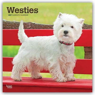 West Highland White Terriers – Westhighland White Terrier – Westies 2027 – 16-Monatskalender