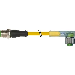Murrelektronik Verbindungsleitung 7000-40321-0530060