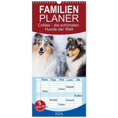 Familienplaner 2026 - Collies - die schönsten Hunde der Welt mit 5 Spalten (Wandkalender, 21 x 45 cm) CALVENDO