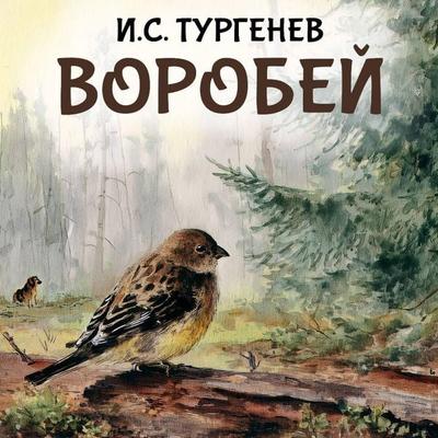 Vorobey - I.S. Turgenev, Audio, 9785171914226