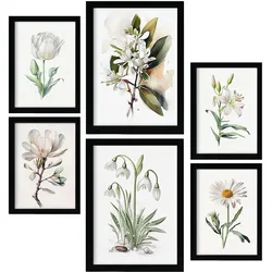 POSTER Set Mit 6 Weiße Blumen Vollfarbige Blumenmotiven A3 & A4 Rahmenlos