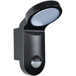 Esylux, Fassadenbeleuchtung, LEDStrahler 3000K AOL 100 LED 3K sw (750 lm, IP55)