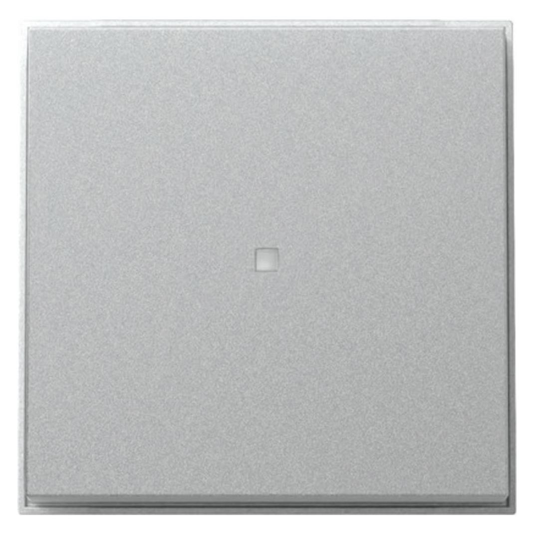 Gira Wippe Kontrollf. (329065)